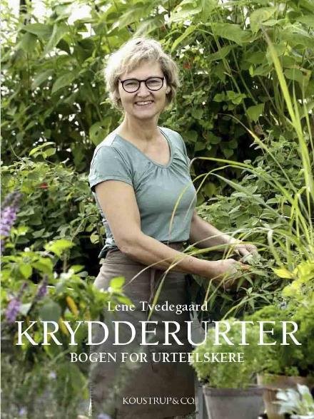 Cover for Lene Tvedegaard · Krydderurter (Innbunden bok) [2. utgave] (2017)