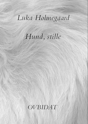 Cover for Luka Holmegaard · Hund, stille (Paperback Book) [2e uitgave] (2023)