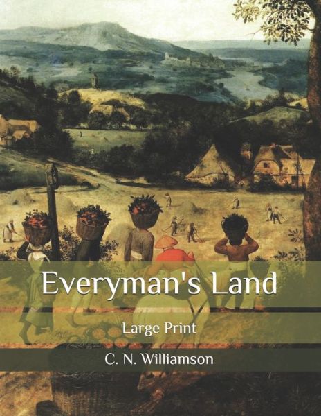 Cover for A M Williamson · Everyman's Land: Large Print (Paperback Book) (2020)