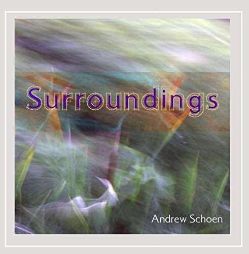 Cover for Schoenndrew · Surroundings (CD) (2014)