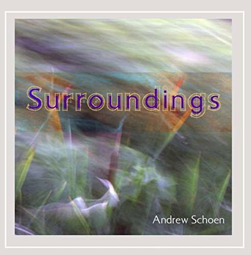 Surroundings - Schoenndrew - Musik - Andrew Schoen - 0029741925281 - 9 september 2014