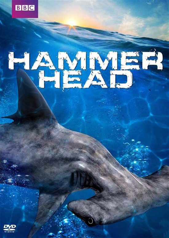 Cover for Hammerhead (DVD) (2013)