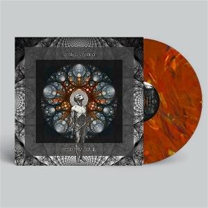 Cover for Chakra Vimana · Feed My Soul (LP) (2025)