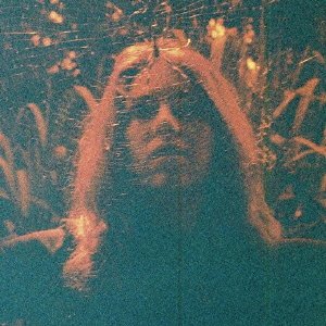 Cover for Turnover · Peripheral Vision (CD) [Japan Import edition] (2015)