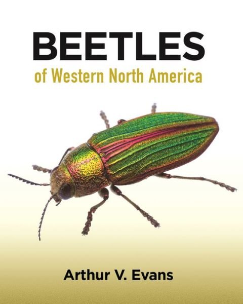 Cover for Arthur V. Evans · Beetles of Western North America (Paperback Book) (2021)
