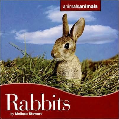 Cover for Melissa Stewart · Rabbits (Innbunden bok) (2008)
