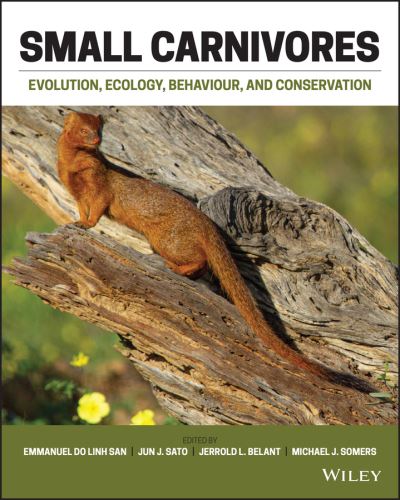 Cover for E Do Linh San · Small Carnivores: Evolution, Ecology, Behaviour and Conservation (Hardcover Book) (2022)