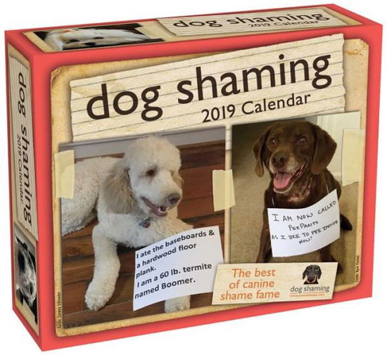 Cover for Pascale Lemire · Kal. Lemire:Dog Shaming 2019 Day-to-Day (Book) (2018)