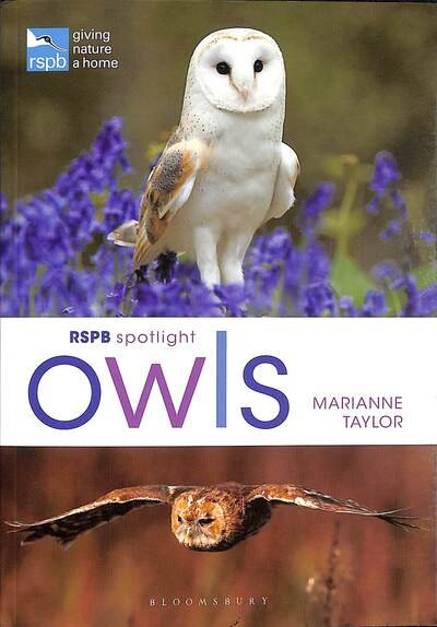 Cover for Marianne Taylor · RSPB Spotlight Owls - RSPB (Paperback Bog) (2020)