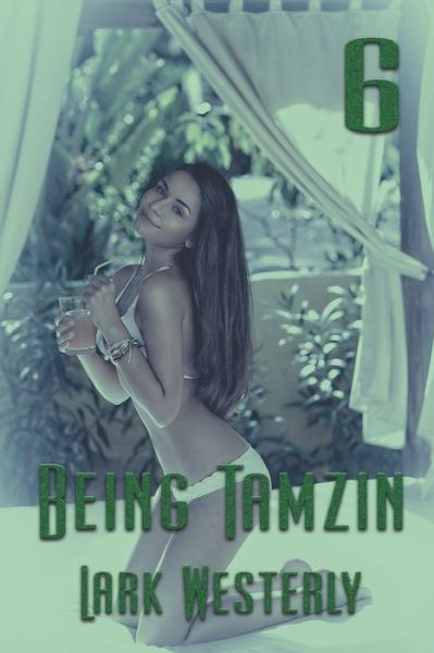 Cover for Lark Westerly · Being Tamzin 6 (Paperback Book) (2022)