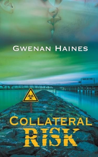 Cover for Gwenan Haines · Collateral Risk (Paperback Book) (2017)