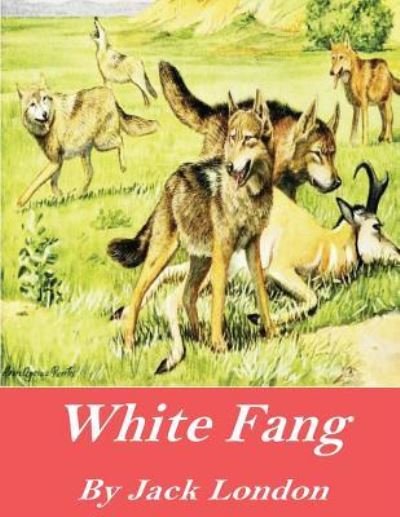 White Fang - Jack London - Książki - Createspace Independent Publishing Platf - 9781541376281 - 31 grudnia 2016
