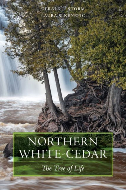 Cover for Northern White-Cedar: The Tree of Life (Taschenbuch) (2022)