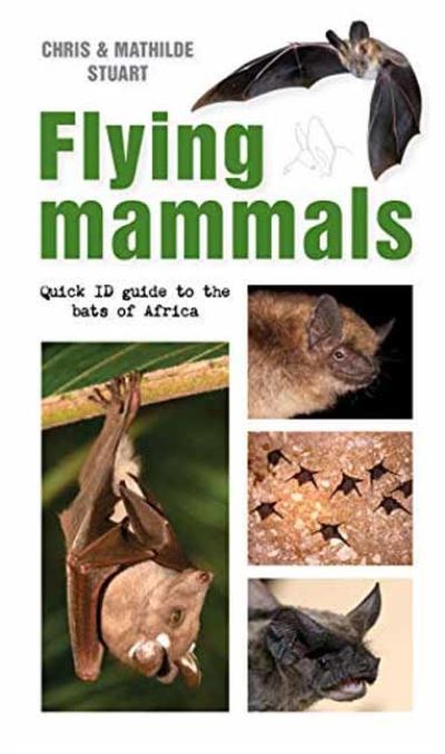 Cover for Chris Stuart · Flying Mammals: Quick ID Guide to the Bats of Africa - Quick ID guides (Paperback Book) (2021)