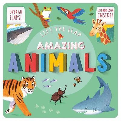 Cover for Autumn Publishing · Lift The Flap: Amazing Animals - Look Inside Board Book (Board book) (2021)