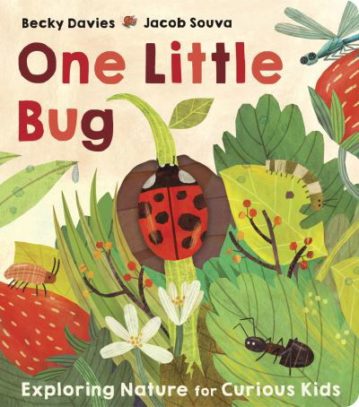Cover for Becky Davies · One Little Bug - One Little (Board book) (2022)