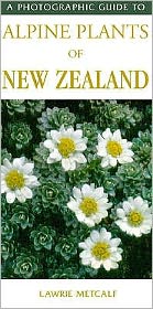 Cover for Lawrie Metcalf · Photographic Guide To Alpine Plants Of New Zealand (Pocketbok) (2007)