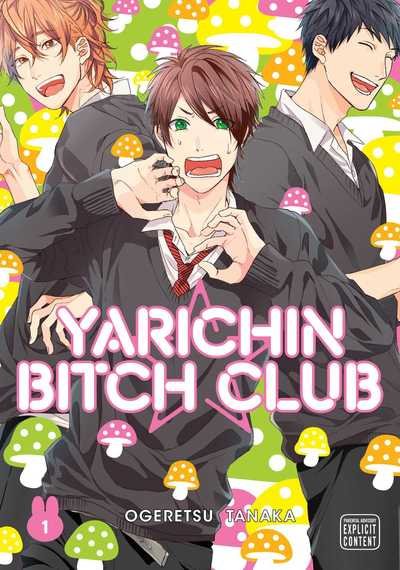Cover for Ogeretsu Tanaka · Yarichin Bitch Club, Vol. 1 - Yarichin Bitch Club (Taschenbuch) (2019)