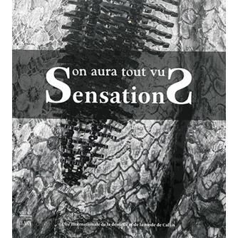 Cover for Lydia Kamitsis · Sensations: On Aura Tout Vu (Paperback Book) (2014)