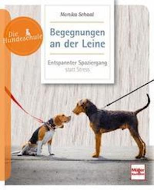 Cover for Monika Schaal · Begegnungen an der Leine (Paperback Book) (2021)