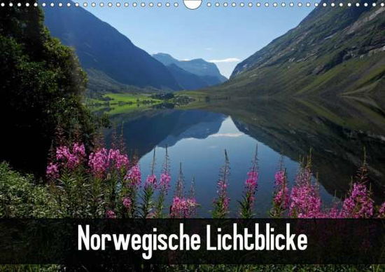 Cover for Pons · Norwegische Lichtblicke (Wandkalen (Book)