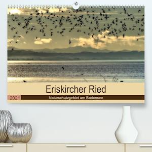 Cover for Brinker · Eriskircher Ried - Naturschutzg (Book)