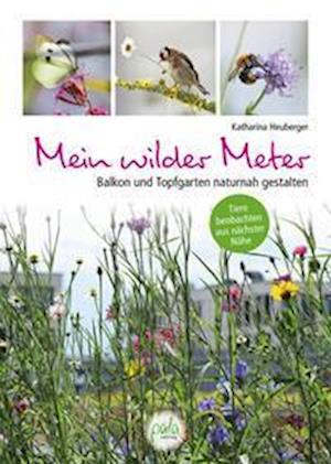 Cover for Katharina Heuberger · Mein wilder Meter (Buch) (2023)