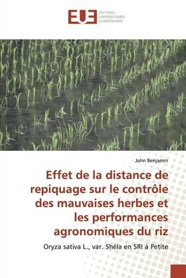 Cover for Benjamin · Effet de la distance de repiqu (Bog) (2019)