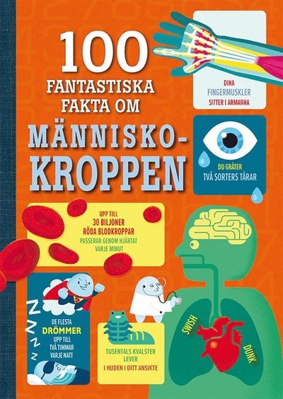 Cover for Alex Frith · 100 fantastiska fakta om människokroppen (Inbunden Bok) (2023)
