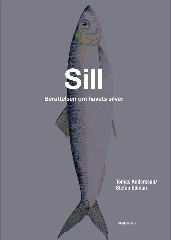 Cover for Stefan Edman · Sill - berättelser om havets silver (Bound Book) (2024)