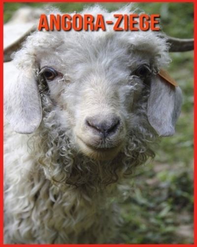 Angora-Ziege - Alicia Moore - Books - Independently Published - 9798709839281 - February 15, 2021