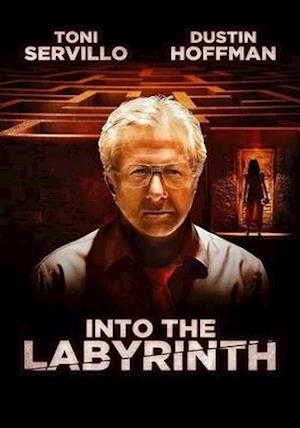 Cover for Into the Labyrinth (DVD) (2020)