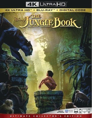 Cover for Jungle Book (4K UHD Blu-ray) (2020)