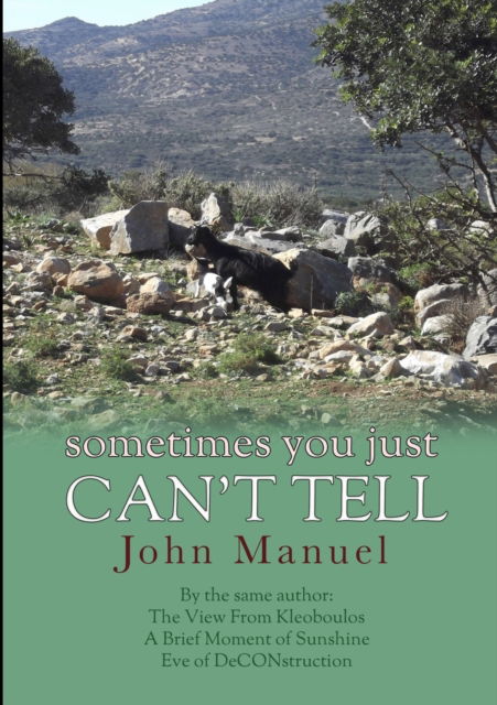 Cover for John Manuel · Sometimes You Just Can't Tell (Paperback Book) (2016)