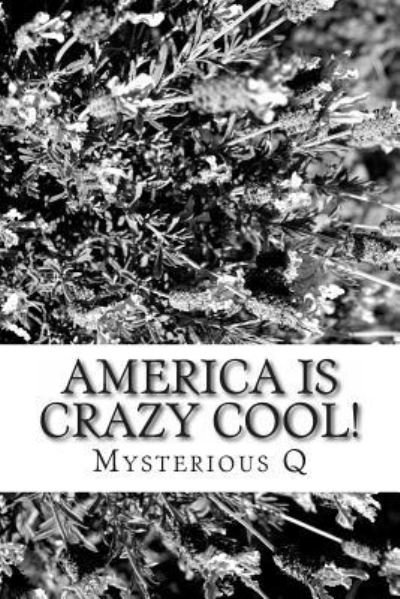 America is CRAZY COOL! - Mysterious Q - Livros - CreateSpace Independent Publishing Platf - 9781477483282 - 1 de maio de 2012