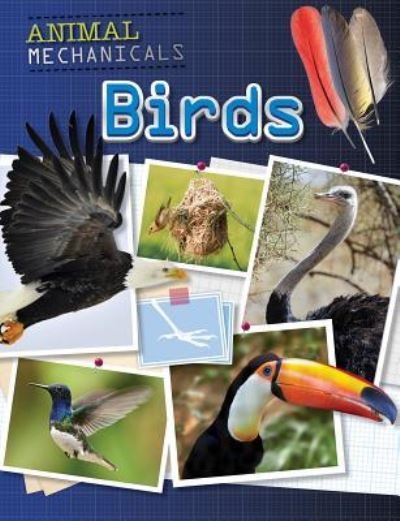 Cover for Tom Jackson · Birds (Paperback Book) (2016)
