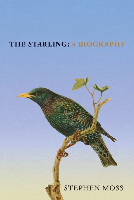 Cover for Stephen Moss · The Starling: A Biography (Hardcover bog) (2024)
