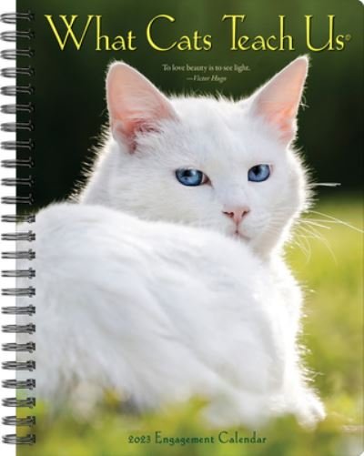 Cover for Willow Creek Press · What Cats Teach Us 2023 Engagement Calendar (Calendar) (2022)