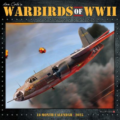 Willow Creek Press · Warbirds of WWII 2025 12 X 12 Wall Calendar (Kalender) (2024)