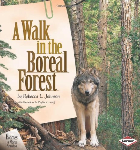 Cover for Rebecca L. Johnson · A Walk in the Boreal Forest (Taschenbuch) (2001)