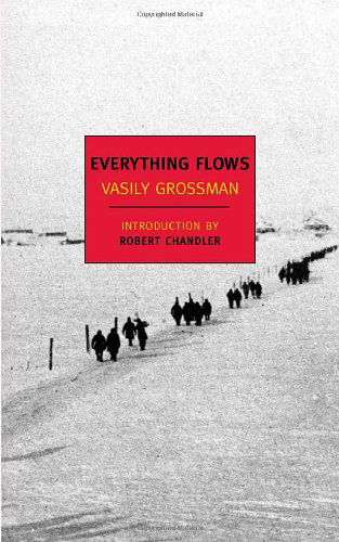 Everything Flows (New York Review Books Classics) - Vasily Grossman - Boeken - NYRB Classics - 9781590173282 - 1 december 2009