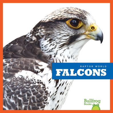 Cover for Jenna Lee Gleisner · Falcons (Hardcover Book) (2019)