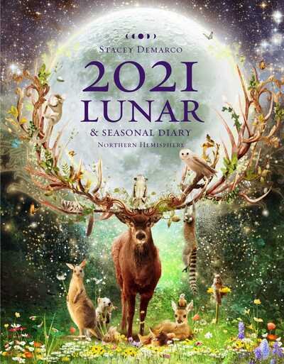 Cover for Stacey Demarco · 2021 Lunar and Seasonal Diary: Northern Hemisphere (Spiralbuch) (2020)