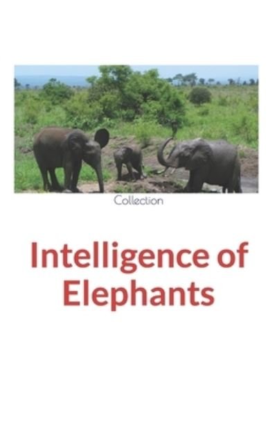 Cover for Amazon Digital Services LLC - KDP Print US · Intelligence of Elephants (Pocketbok) (2022)