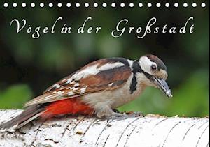 Cover for Konieczka · Vögel in der Großstadt (Tisch (Book)