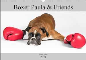 Cover for Elbe · Boxerhündin Paula and Friends (Wan (Book)