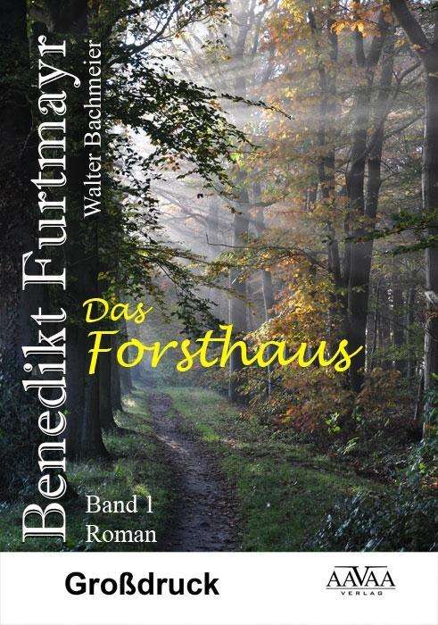 Cover for Bachmeier · Benedikt Furtmayr (1) - Großd (Book)