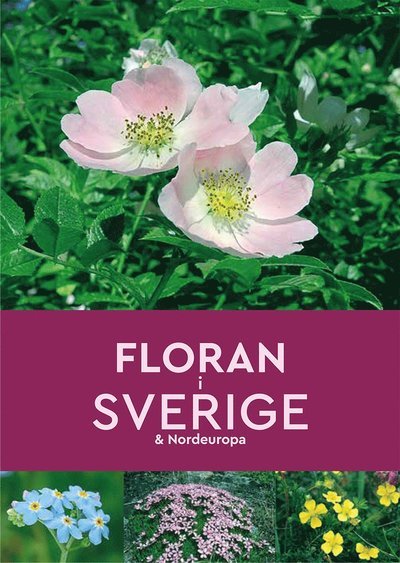 Cover for Andrew Cleave · Floran i Sverige &amp; Nordeuropa (Book) (2022)
