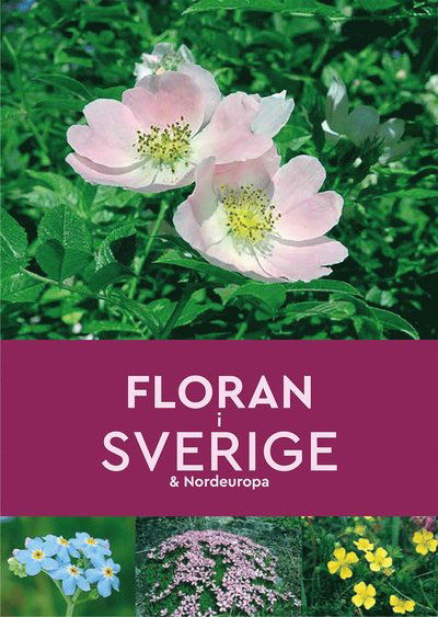 Cover for Andrew Cleave · Floran i Sverige &amp; Nordeuropa (Buch) (2022)