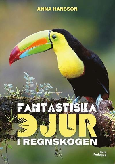 Cover for Anna Hansson · Fantastiska djur: Fantastiska djur i regnskogen (Bound Book) (2020)